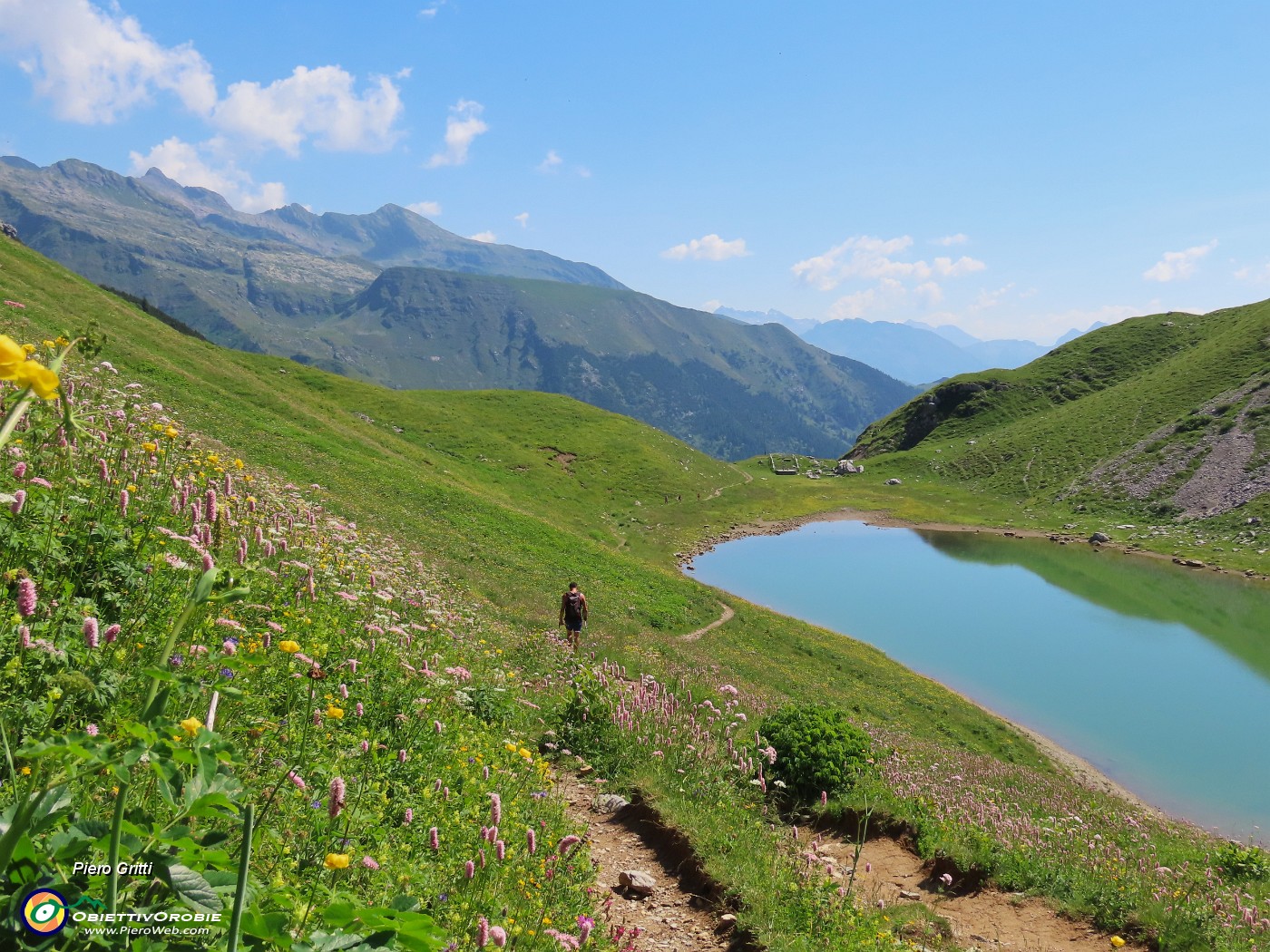 43 Distese di fiori dai fianchi della montagna alle rive del lago.JPG